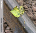 Dry ice is latest weapon against leaves on the line
