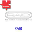 New chief inspector of accidents named
